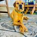 Dan Newburn - Facebook