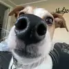 Daniel Newhall - @danielnewhall - TikTok