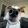 danny - @dannynewhall - TikTok