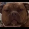 dan.newlin32 - @dan.newlin - TikTok
