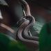 Dan Ng - Facebook