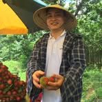 Nông Dân Ngô - Facebook