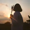 Dan Như - @dannhu62 - TikTok