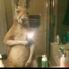 dannicelys arriojas - @dannicelys.arrioj - TikTok