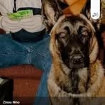 Dani Nicolas - Facebook