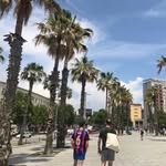 Dan Nicoll - @dan_nicoll_ - Instagram