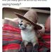 Dan Nieman - Facebook