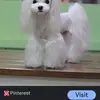 @Dannies - @dannies39 - TikTok