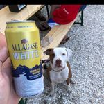 Dan Nieves - @allagashdan - Instagram