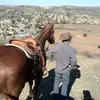 Dan Niles - @andniles - TikTok