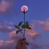 Dana - @dananipper - TikTok