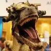 Daniel Nipper - @daniel.nipper - TikTok