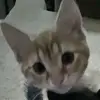 ️ ⭒๋ daniss౨ৎ - @dan.niss_ - TikTok