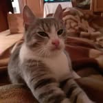 Dan Nitu - @dan.nitu.7798 - Instagram