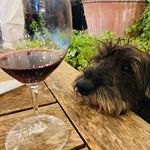 Dan Nixon - @dan.nixon4978 - Instagram