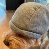 dan.noodle - @dan.noodle - TikTok