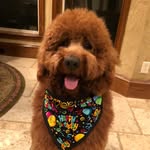 Danno Madhani - @danno_madhani - Instagram