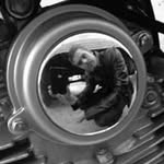 Dan Northrup - @northrupdan - Instagram