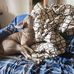 Dan Northrup - Facebook