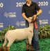 Dan Nowlin - Facebook