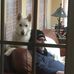 Dan Nuckols - Facebook