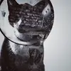 danenunley - @danenunley1 - TikTok