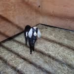 Glenda Nunley - @glendanunley - Instagram
