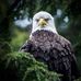Dan Nunn - Facebook