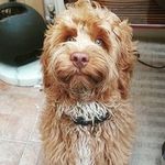 Dan Nunn - @d.annunn - Instagram