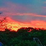 dan nutter - @dannutterphotography - Instagram