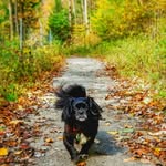 Dan Ober - @d.phot.ober - Instagram