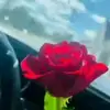 Danober Marquez Mendoza - @danober.marquez.m3 - TikTok