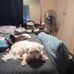 Danny Ebert - Facebook