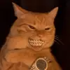 Danr0b - @danr0bofm - TikTok
