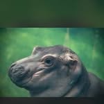 Dan Ochs - @ochsdan - Instagram