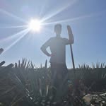 Dan O'Connell - @doc3p0 - Instagram