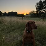 Dan O'Connell - Facebook
