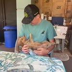 Dan O’Connell - @dan.oconnell10 - Instagram