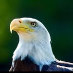 Dan Ogle - @ogle2968 - Instagram