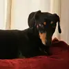dannyohler8 - @dannyohler8 - TikTok