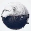 Dava - @danohm - TikTok