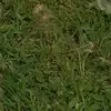 danoka - @danoka65 - TikTok