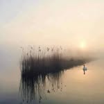 Dan Oldman - @rusudominic - Instagram