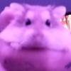 Danny_oldroyd - @danny_oldroyd - TikTok