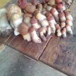 +380686709410 - @danolena82020 - Instagram