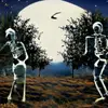 Dan Oliva - @dan.oliva - TikTok