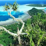 Dan Olivier - @oldan03 - Instagram