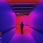 @danollerhead - Instagram