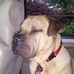 Dan Olmstead - Facebook