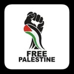 amir danon - @danon.amir - Instagram